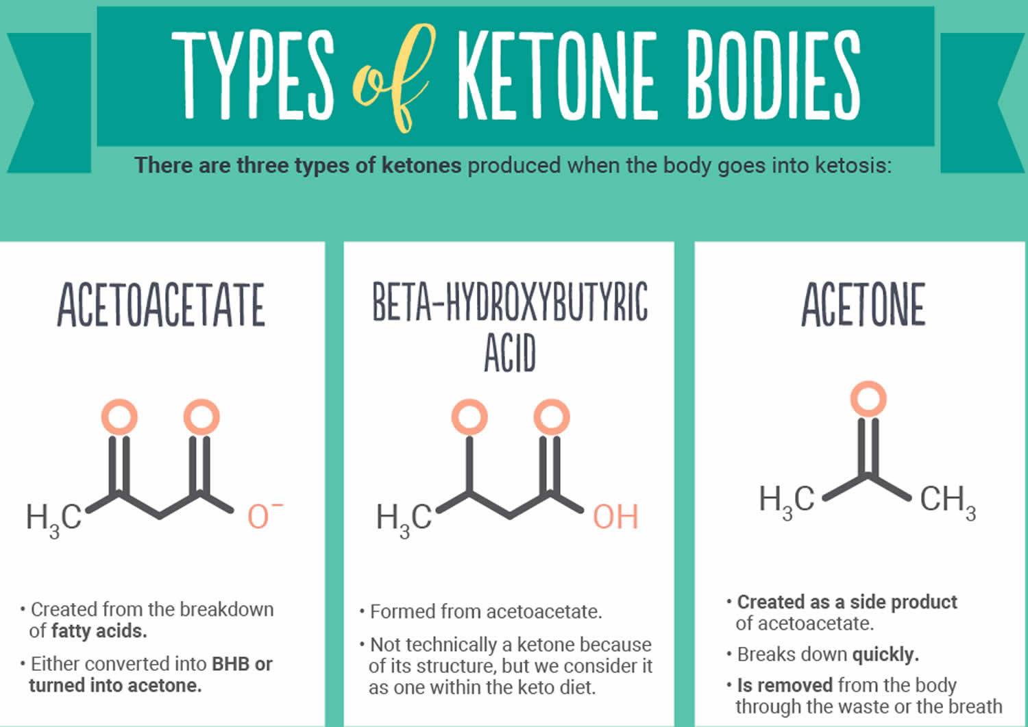 What Ketone Bodies Are Found In Urine