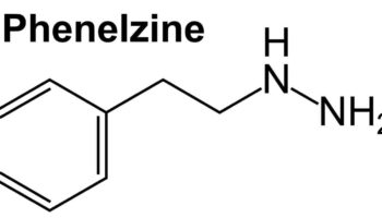 phenelzine