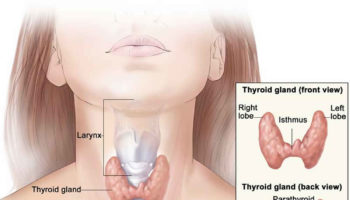 thyroglobulin