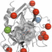 trypsin