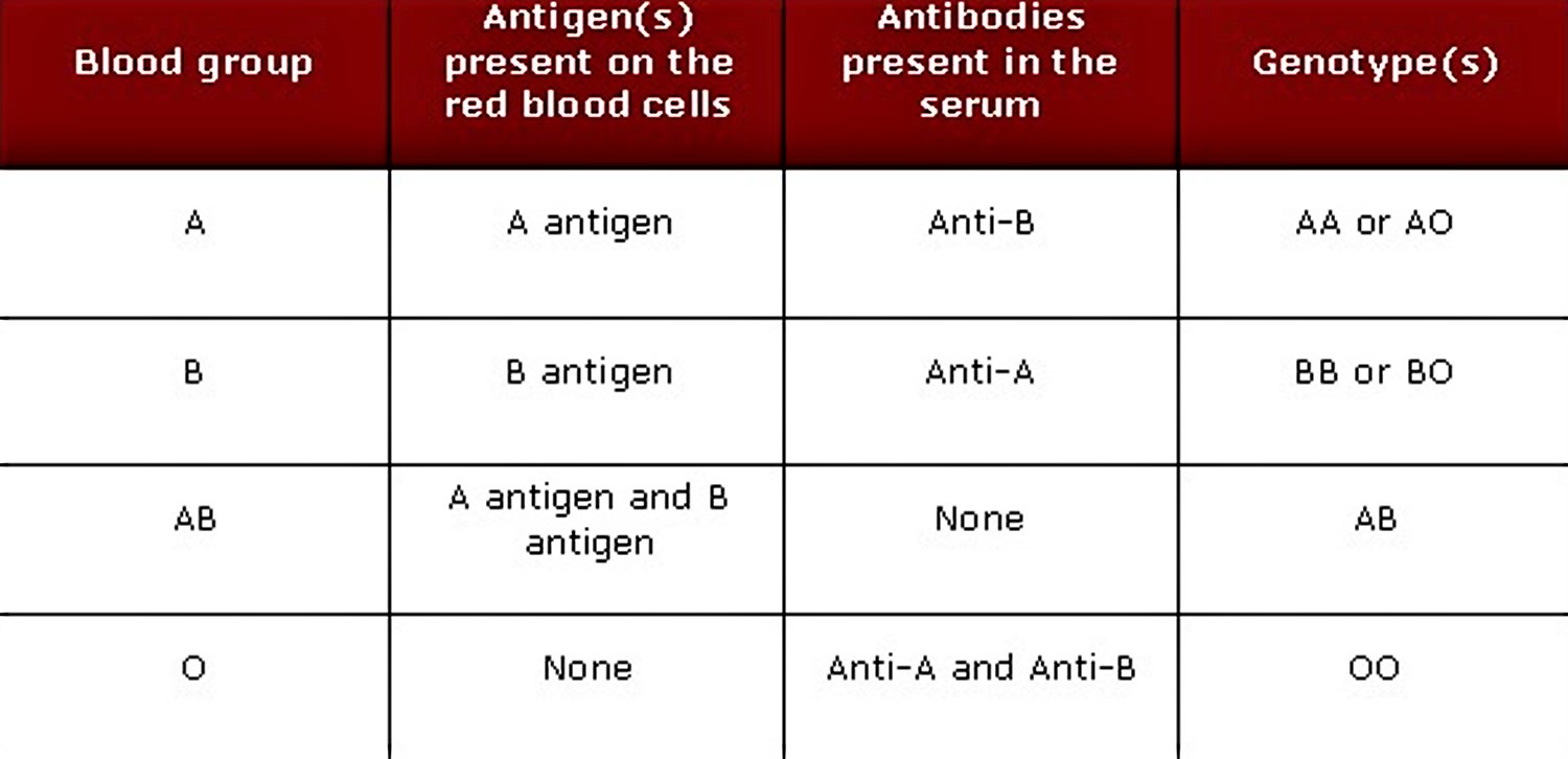 all bloodtypes