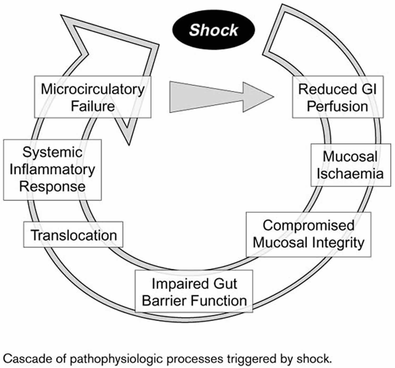 Hypovolemic shock pathophysiology