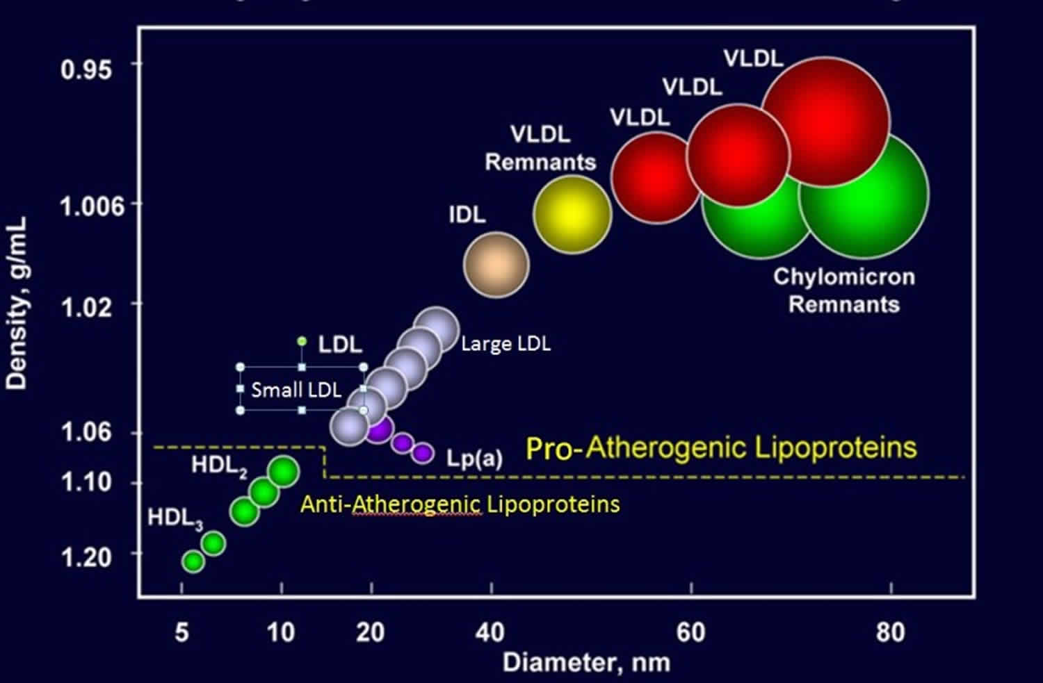 Types of Lipoprotein