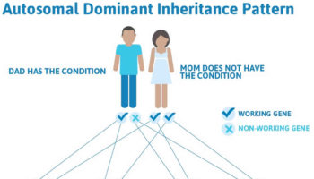 autosomal dominant inheritance