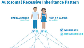 autosomal recessive inheritance