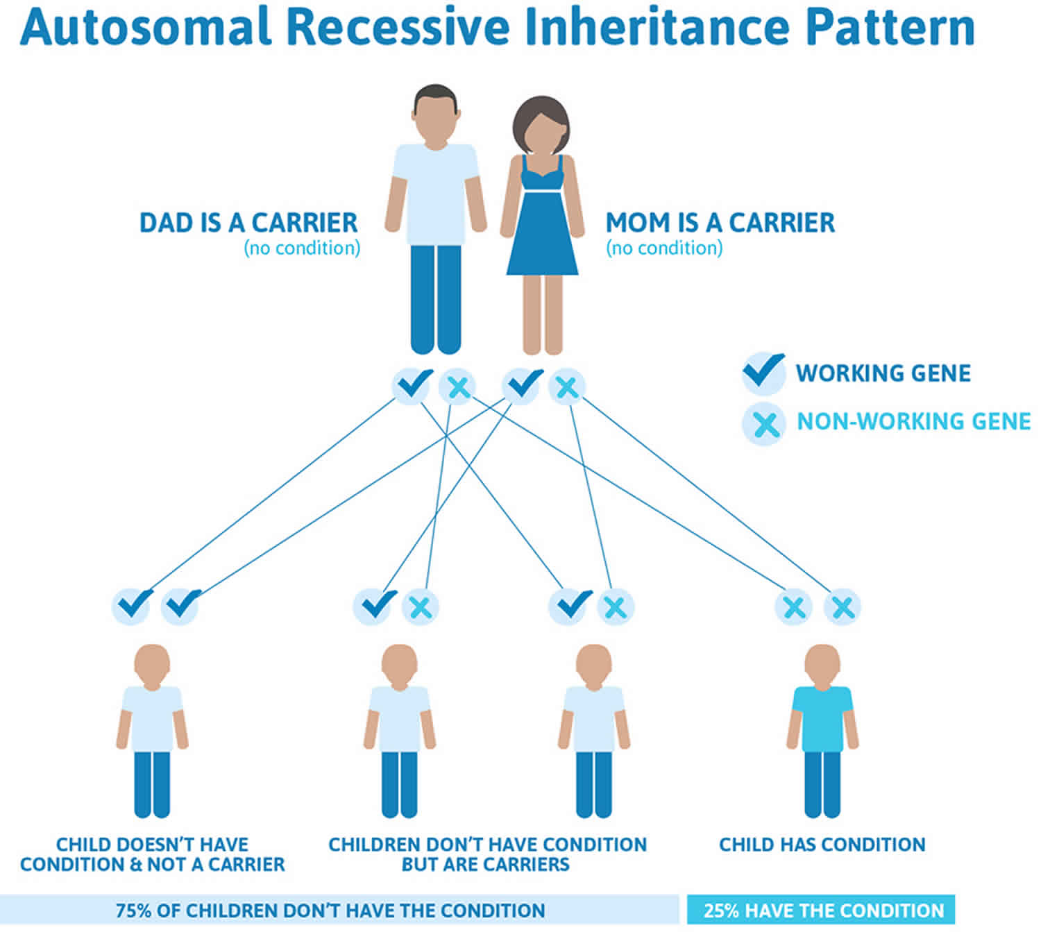 what are some recessive genetic disorders