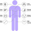 chronic granulomatous disease