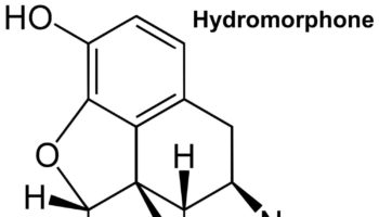 hydromorphone