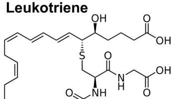 leukotriene