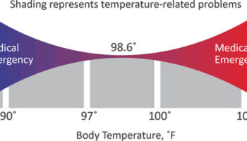 normal body temperature