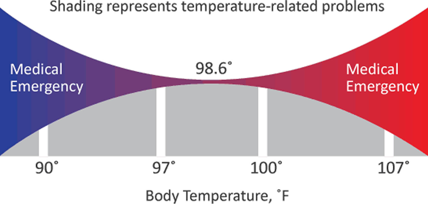 What Is The Normal Temperature Range For Human Body