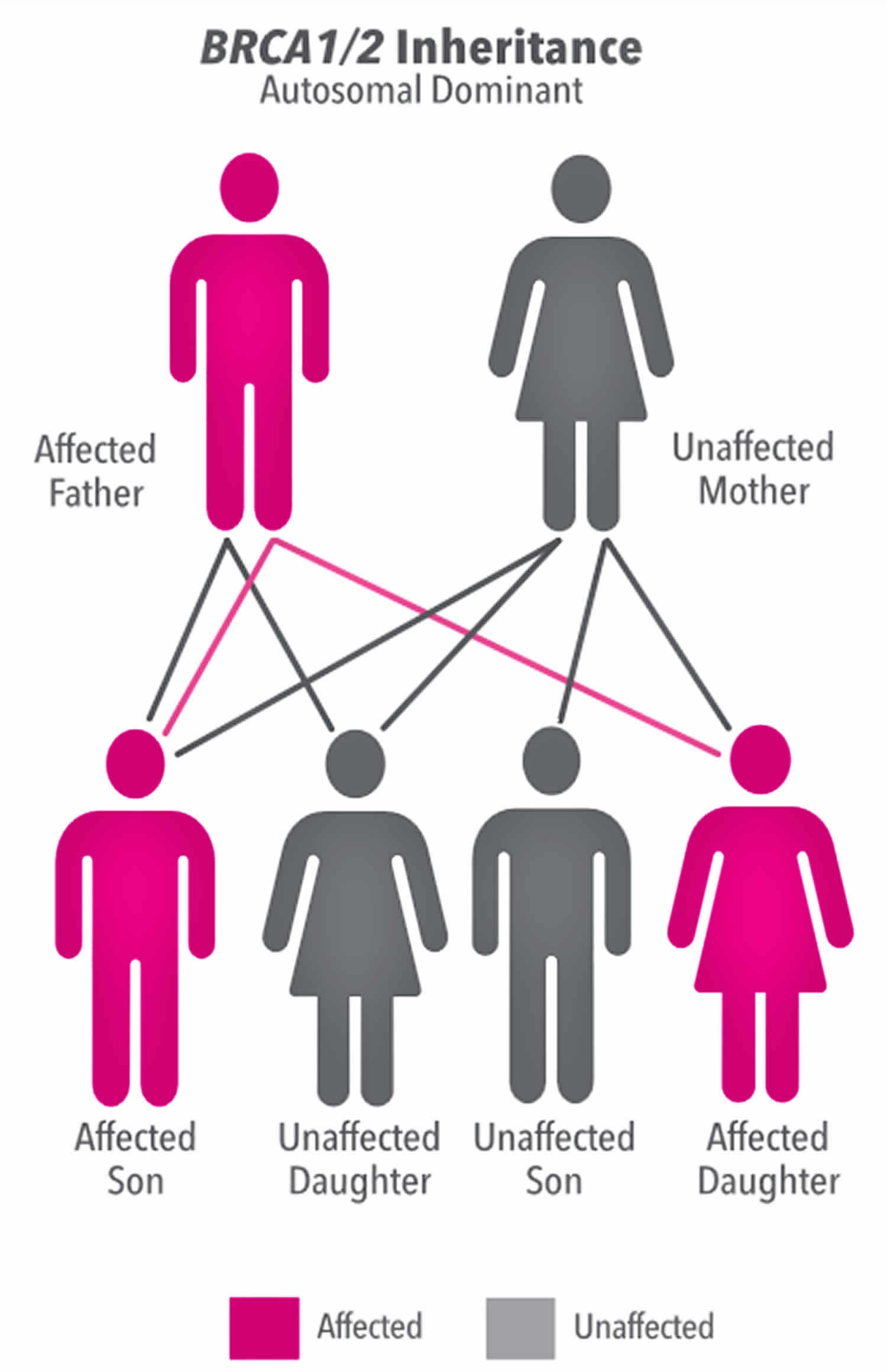 BRCA gene autosomal dominant inheritance pattern
