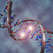 MTHFR gene mutation
