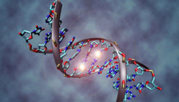 MTHFR gene mutation