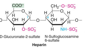 heparin