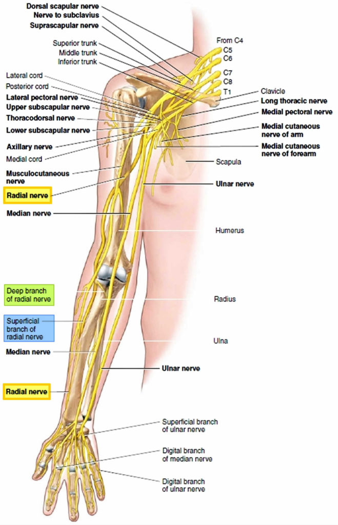 Nerve compression causes, symptoms, diagnosis & treatment