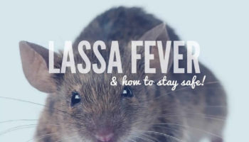 Lassa fever