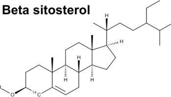 beta sitosterol