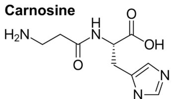 carnosine