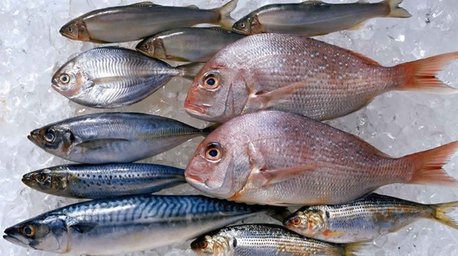 Ciguatera Toxin, Ciguatera Fish Poisoning Symptoms & Ciguatera Treatment