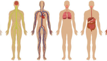 metabolic disorders