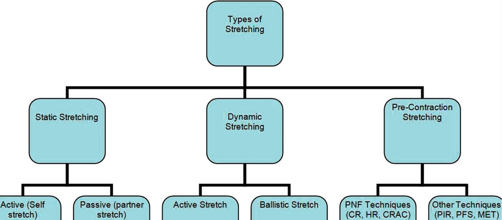 ballistic stretching diagram