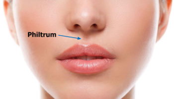 philtrum