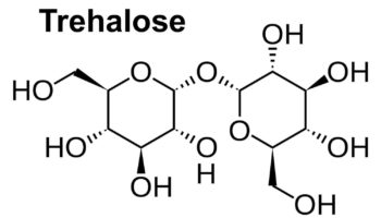 trehalose