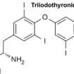 triiodothyronine