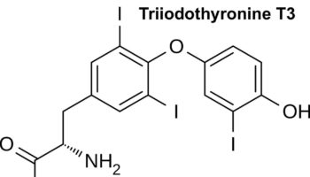 triiodothyronine