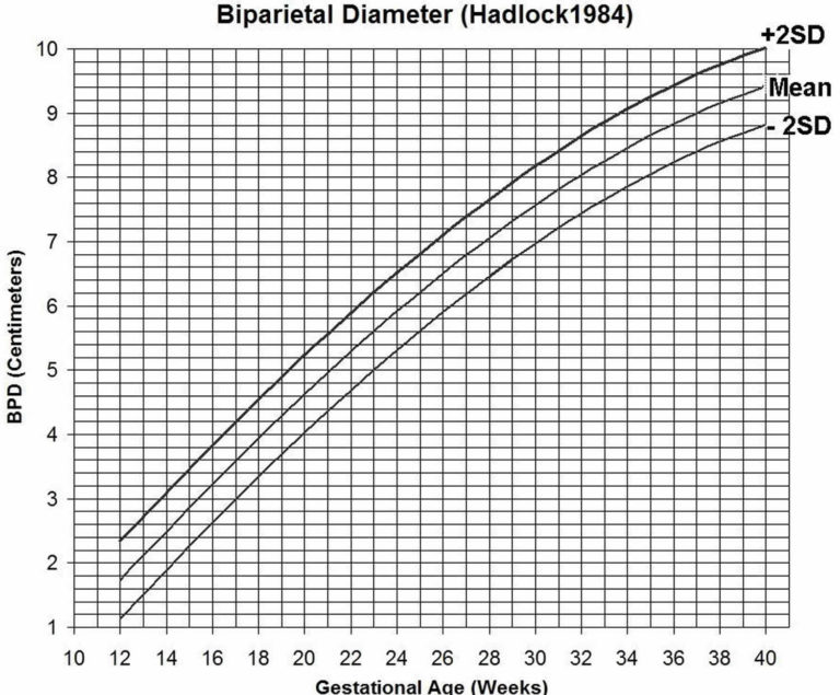 Gestational Age Chart How To Calculate Gestational Age And Corrected Age 