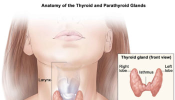 Parathyroidectomy