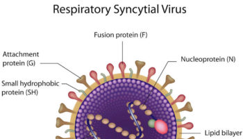 Respiratory syncytial virus