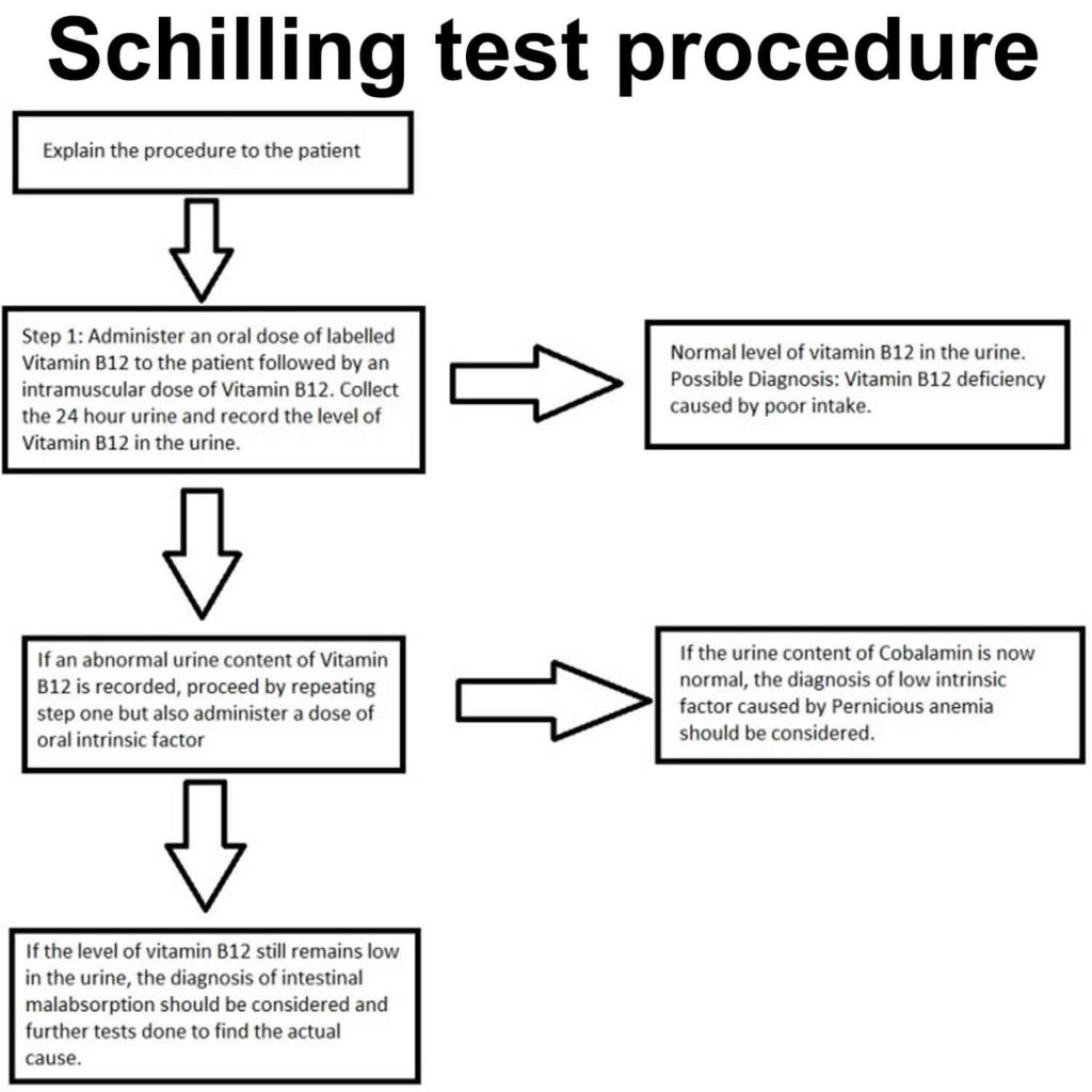 schilling-test-for-pernicious-anemia-schilling-test-procedure