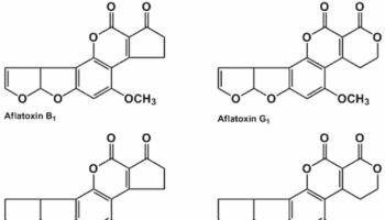 aflatoxin