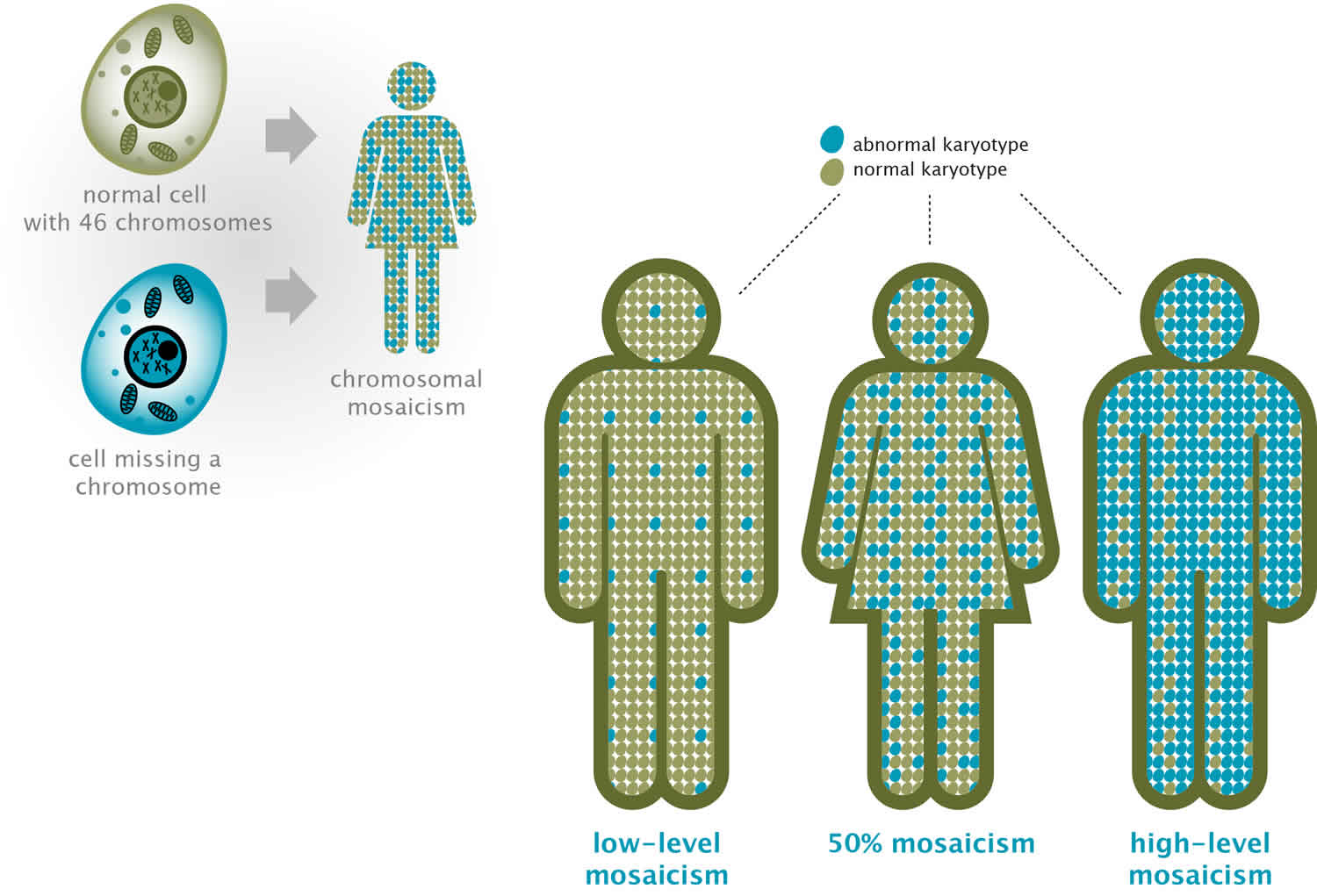 chromosomal-mosaicism-genetic-mosaicism-mosaicism-symptoms