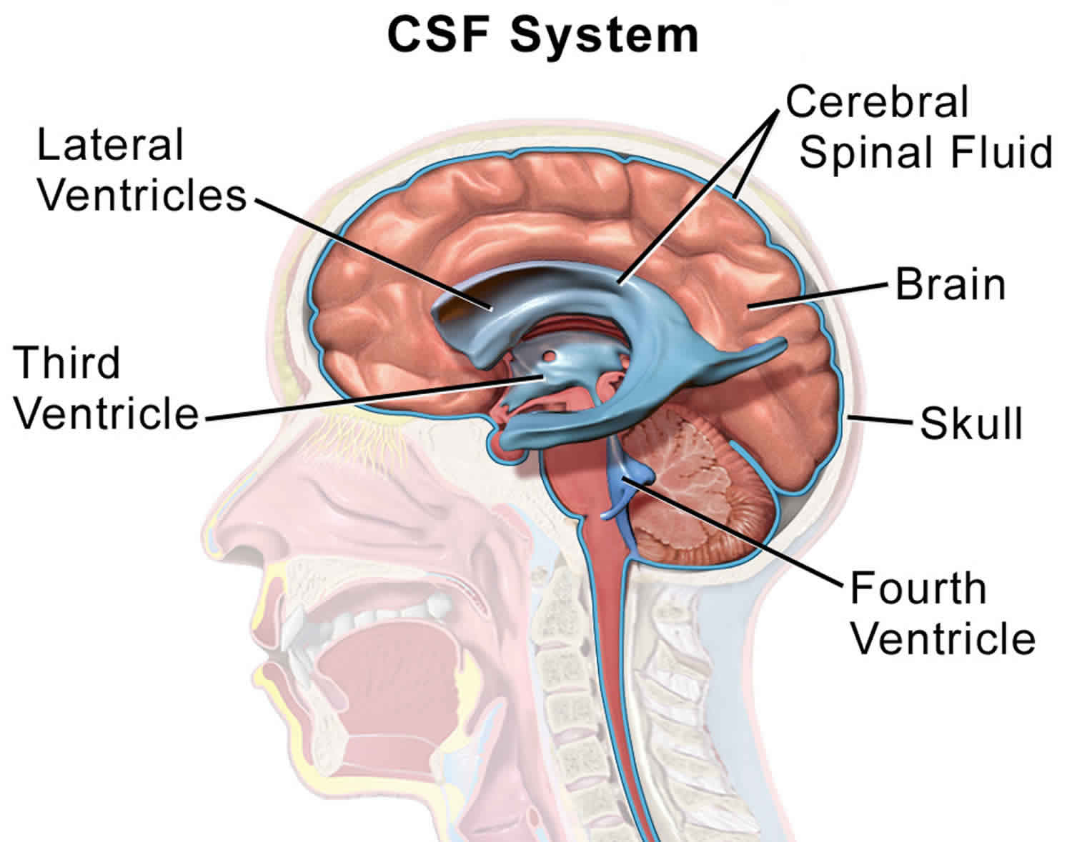 Practice D-CSF-SC-23 Tests