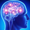 hyperthymesia
