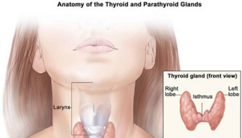 parathyroid adenoma