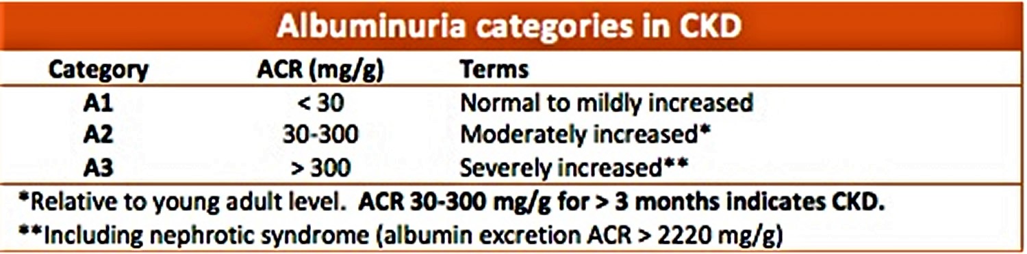 Microalbumin Or Urine Microalbumin Test Urine Microalbumin Creatinine 