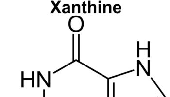 xanthine