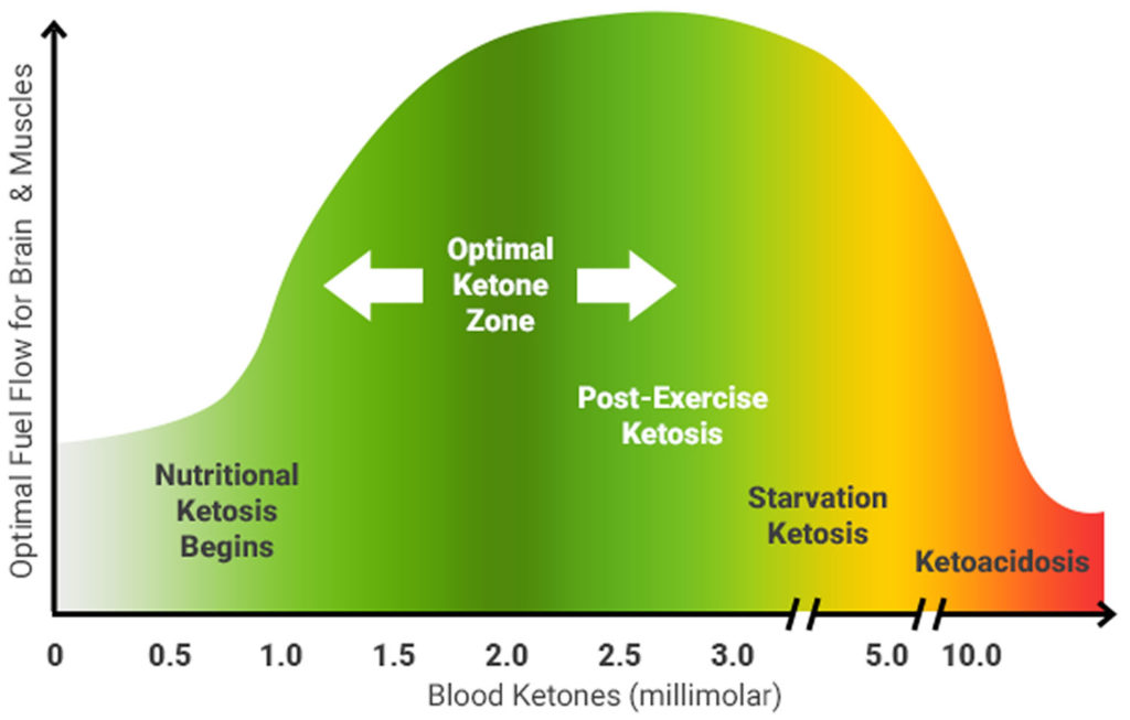 Image of blood ketone levels