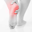Calcaneus