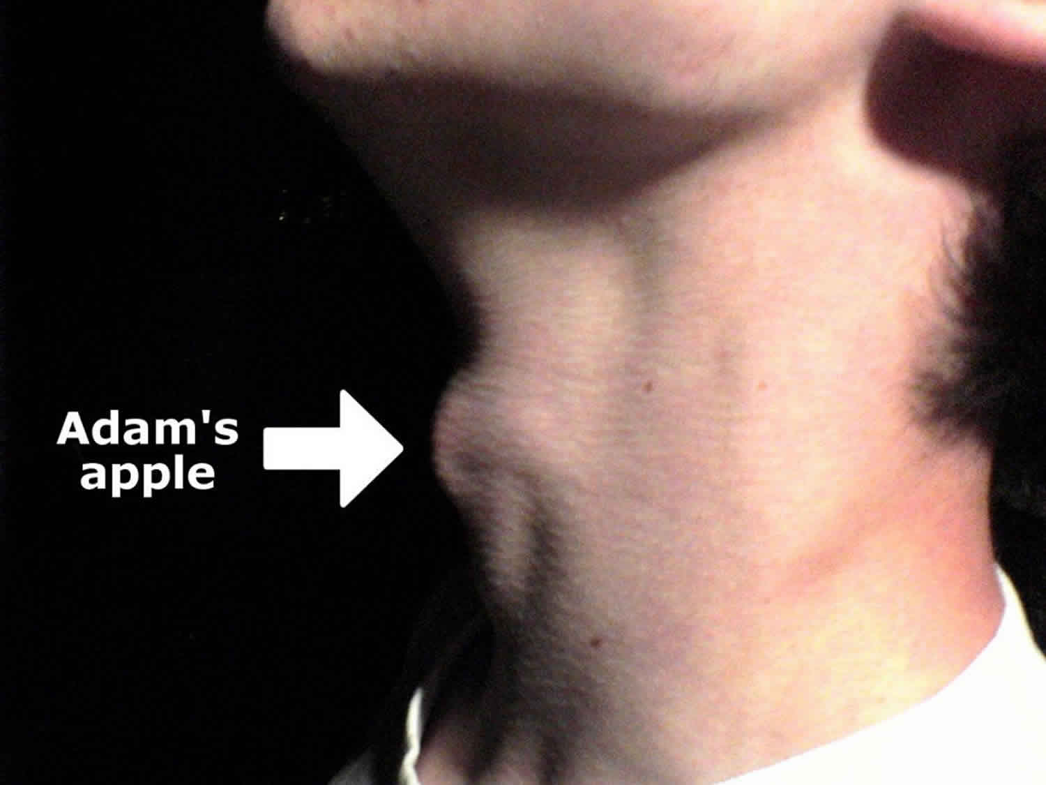 Adam'S Apple In Art