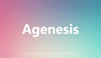 agenesis