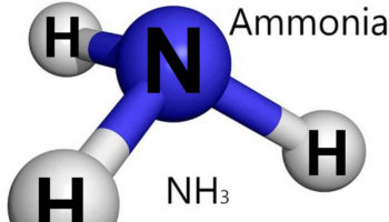 ammonia