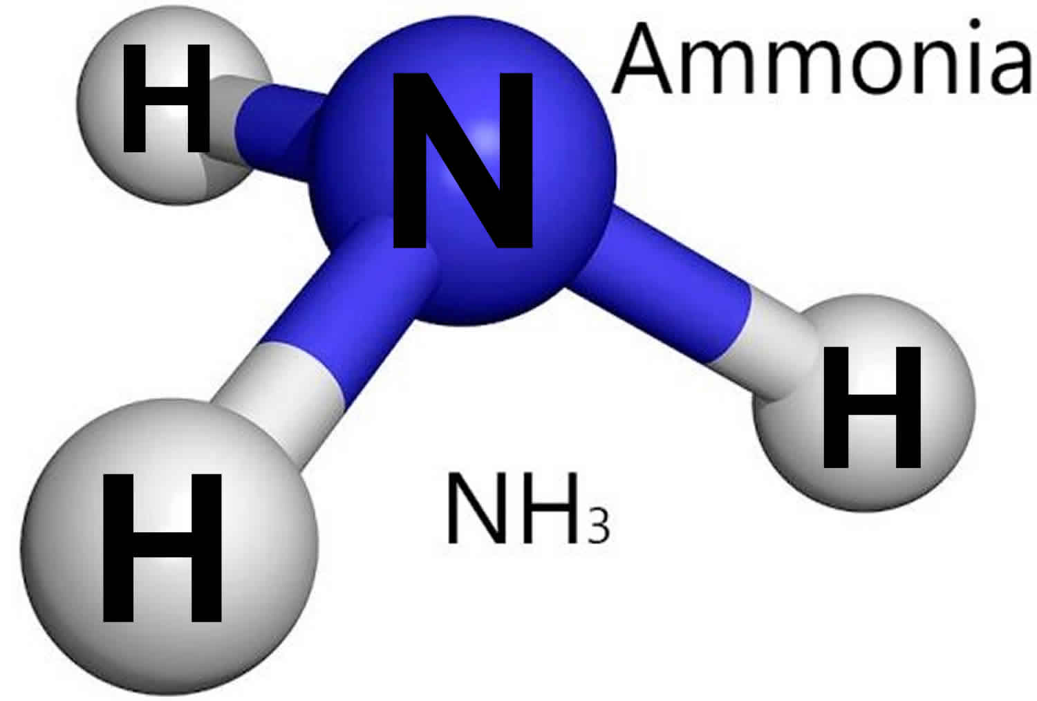 What Does High Ammonia Level Mean