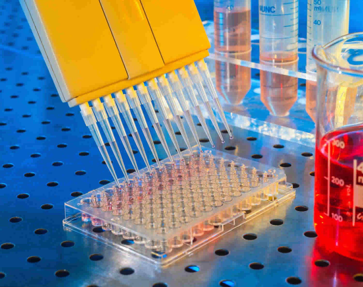 Elisa Test Diagram