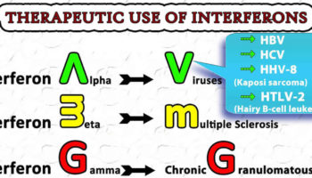 interferon