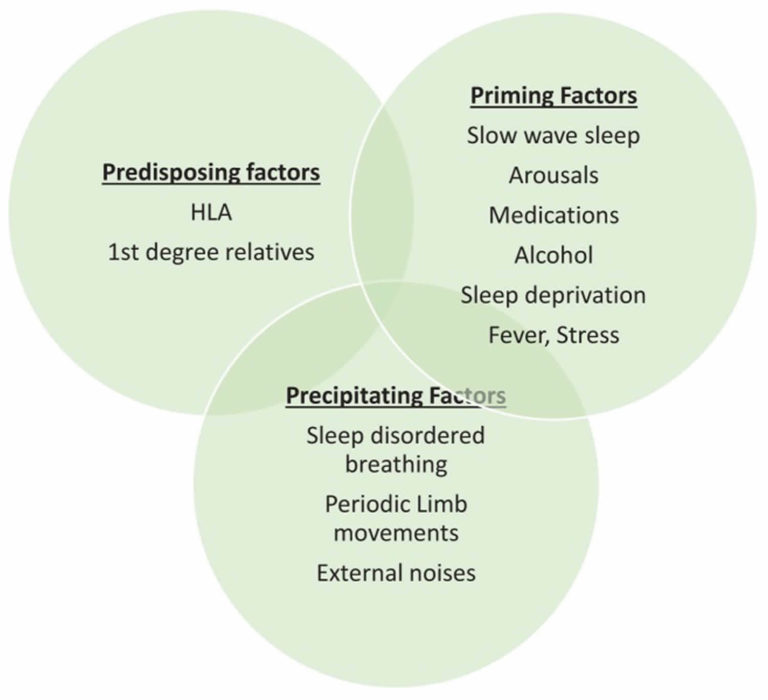 Parasomnia Definition, Causes, Types, Symptoms, Diagnosis & Treatment